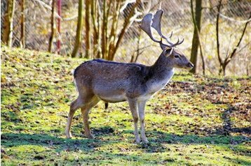 Slovakia Chata Veľké Rovné, Exterior